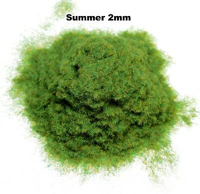 Wws Summer Static Grass 2mm 30g G,o,ho/oo,tt,n.z Wargames  Model Basing